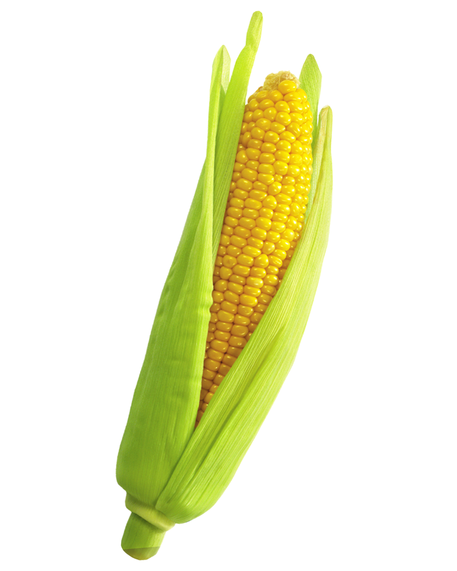 Corn