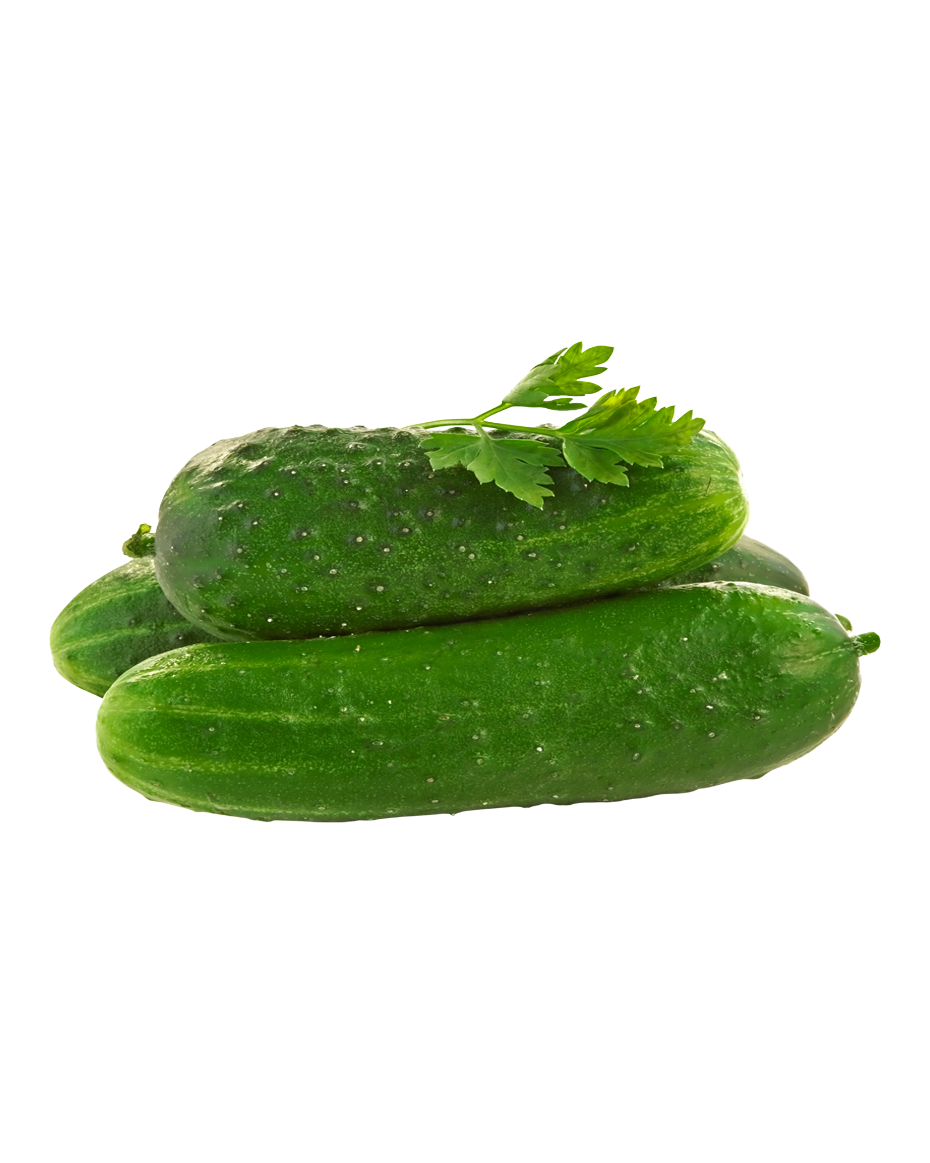 Cucumber