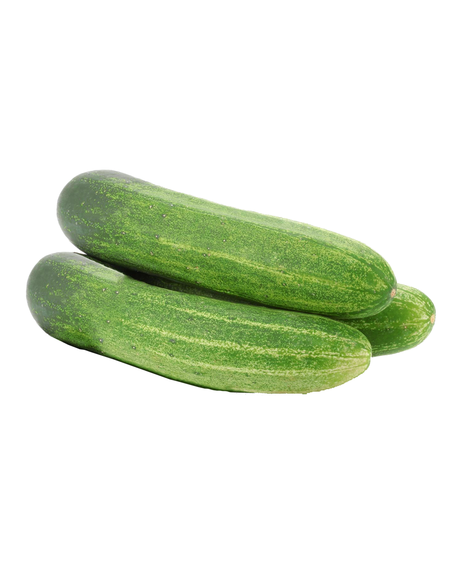 Cucumber