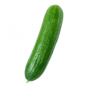 Cucumber